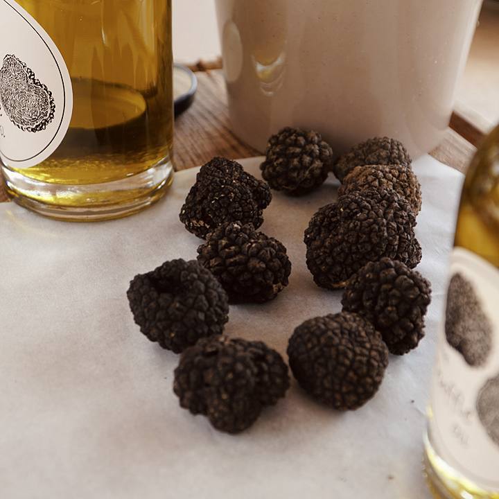 Truffle Hunting in Naxos