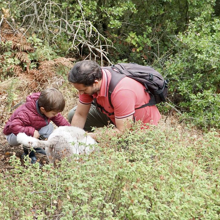 Truffle Hunting in Naxos