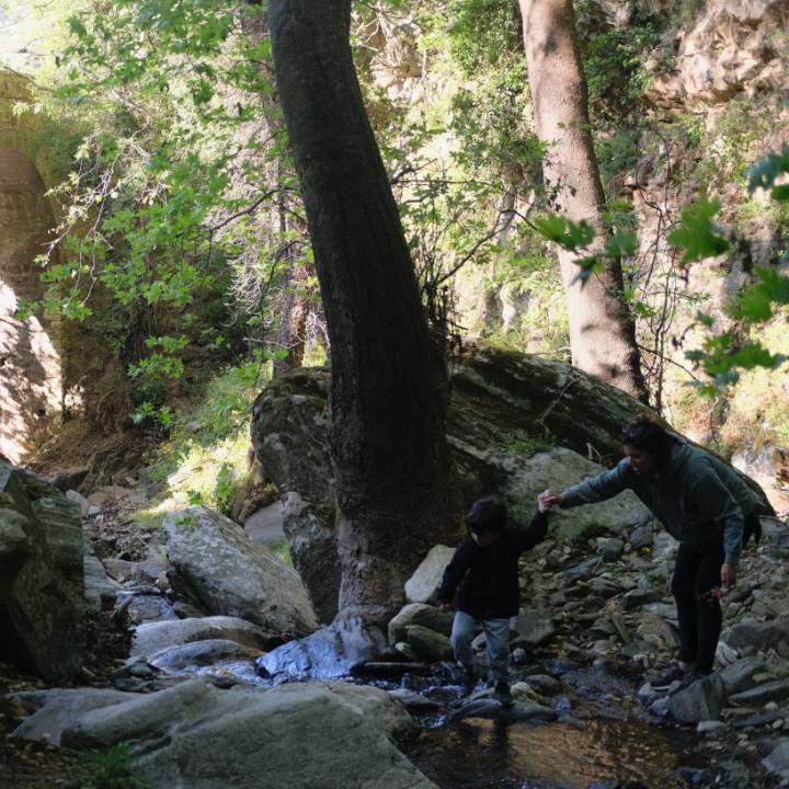 Truffle Hunting in Naxos