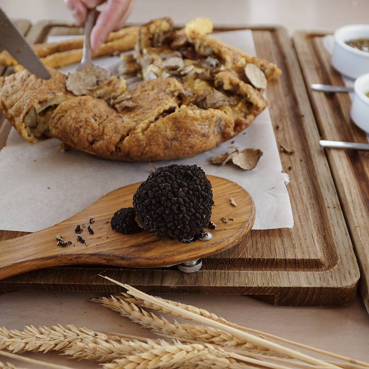 Truffle Hunting in Naxos