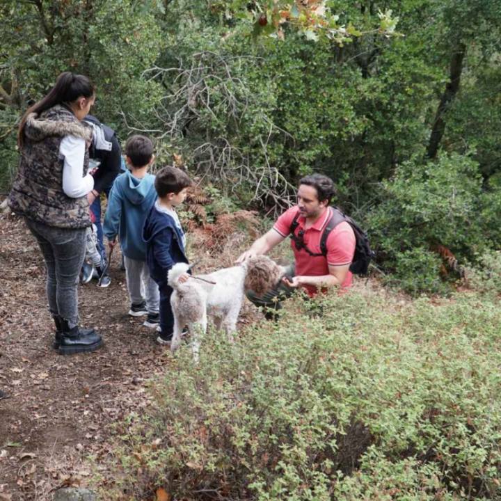 Truffle Hunting in Naxos