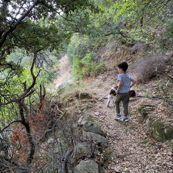 Truffle Hunting in Naxos