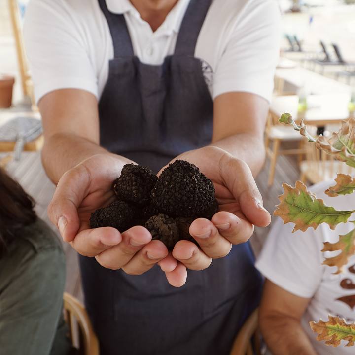 Truffle Hunting in Naxos